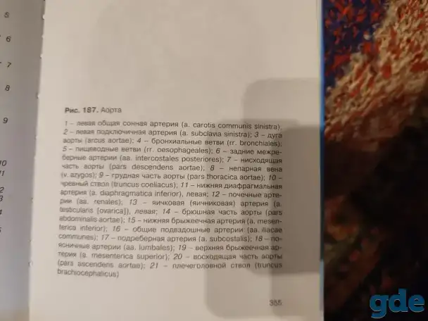 Учебник по анатомии и физиологии для медицинских вузов, фотография 5