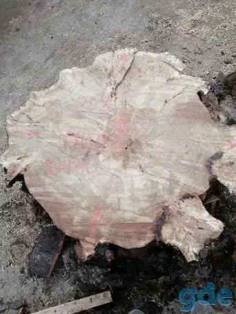 Слэбы от производителя из дуба, шпальтового бука, капового тополя, вербы, капового карагача, ясеня., фотография 9
