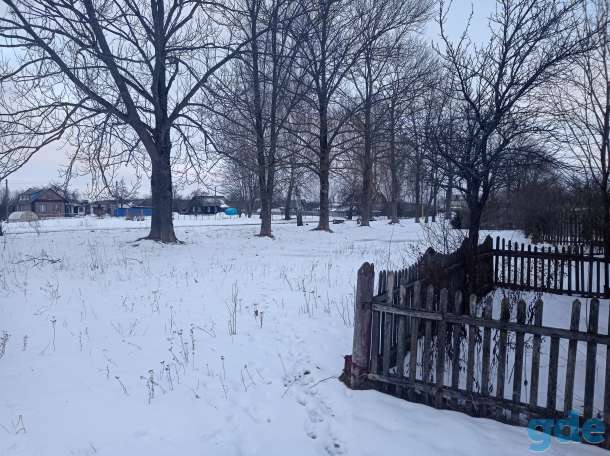 Продам участок с домом, ул. Центральная д.29, фотография 5