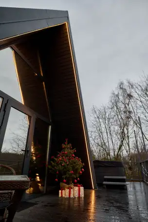 Треугольный дом афрейм в Гродно на сутки, деревня Славичи, д1, Коптёвский сельсовет, Гродненский район, фотография 6