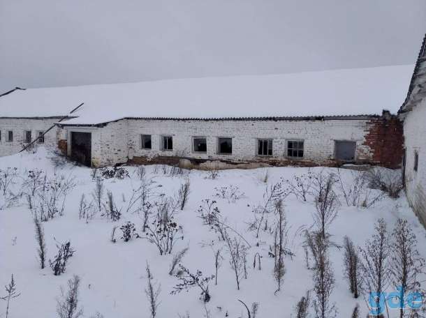 Недвижимое имущество ОАО «Бешенковичи агросервис», фотография 12