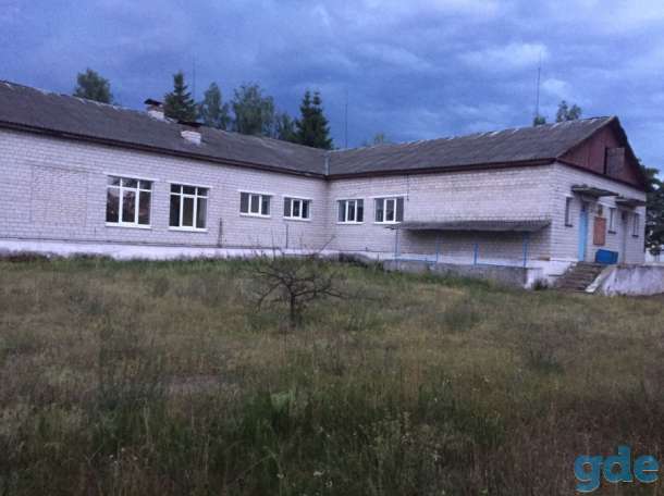 Продам огромный дом с большой территорией около реки, фотография 4
