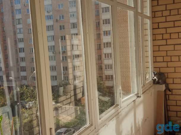 Рамы балконные б/у для дачи или теплицы, фотография 2
