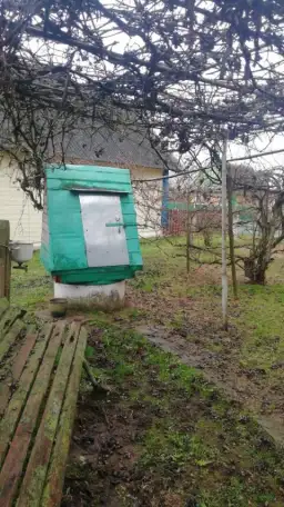 Требуется скосить траву, фотография 1