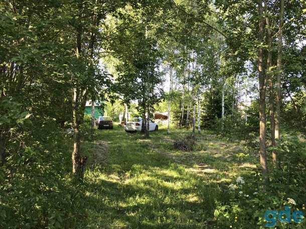 Участок дачный 10 соток, д. Мерковичи Логойского р-на, фотография 5