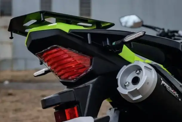 Мотоцикл RACER RC300-GY8B BROS, фотография 19