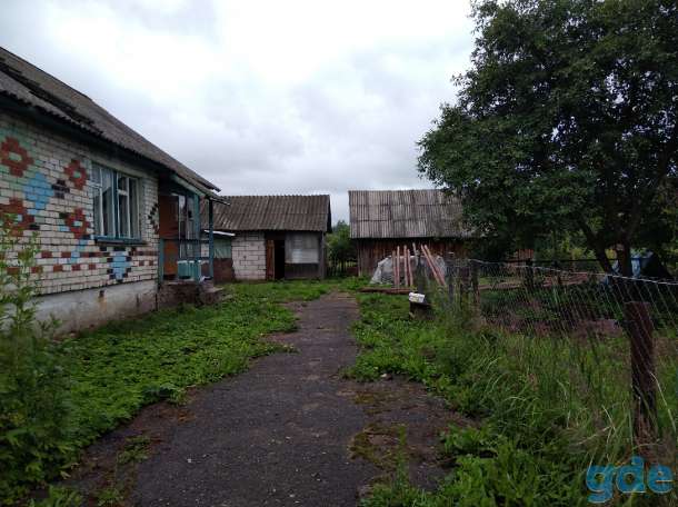 продаю жилой дом в д.боровцы городокского района, фотография 7