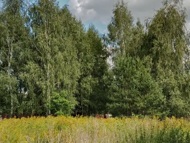 Участок возле Держинска, Полевая, фотография 7