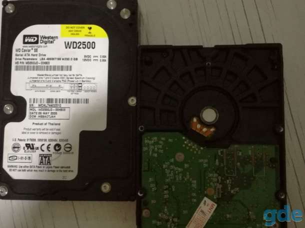 Жёсткий диск (HDD) Western Digital 250 GB Sata, фотография 3