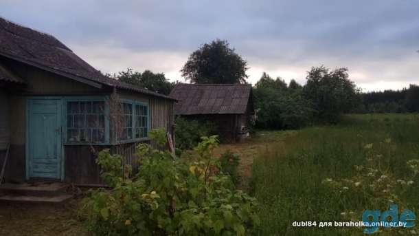 Дом, участок д. Суринты, Молодечненский р-н, фотография 8