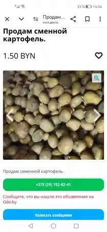 Продам сменной картофель., фотография 1