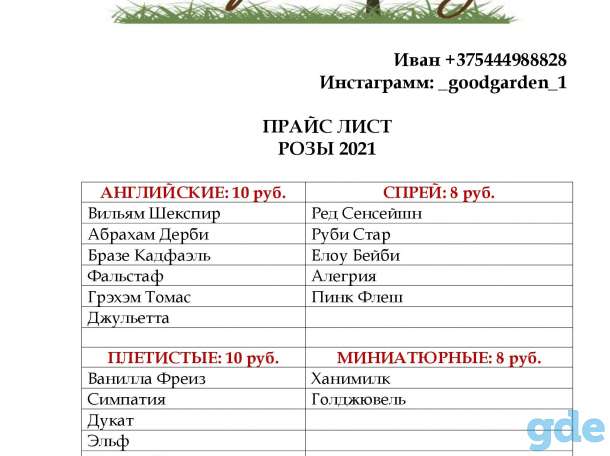 Садовые Розы отправляю Почтой, фотография 3