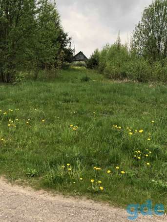 Продам участок 25 соток в д. Юржишки, Раковский с/с, фотография 6