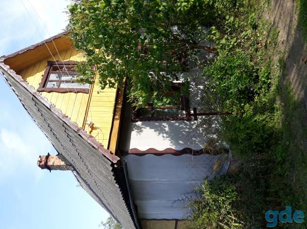 Продам дачу, Витебская обл. р-н д.Бецкое, фотография 3