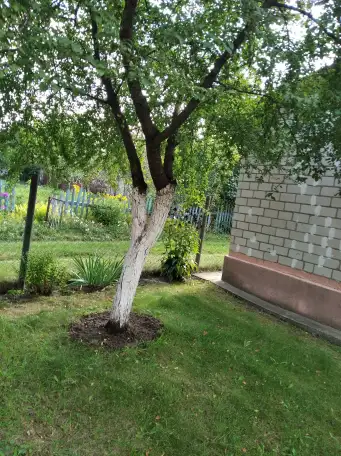 Продажа, СТ 