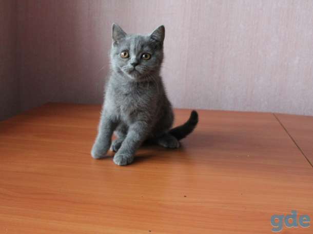 2 парня и 2 девчонки ., фотография 3