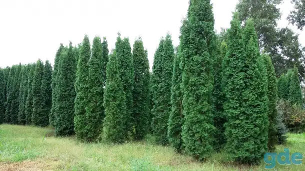 Нуждаюсь в разнорабочиъ, фотография 1