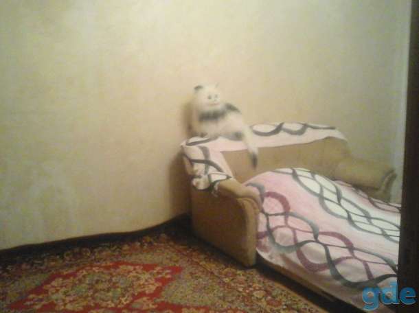 Продам 3-комнатную квартиру в г. Глуск, фотография 5