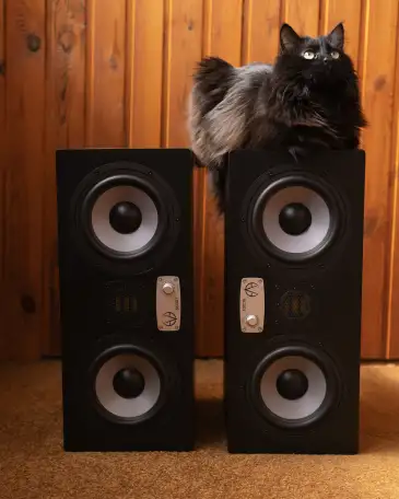 Студийные мониторы EVE Audio SC307 пара, фотография 1