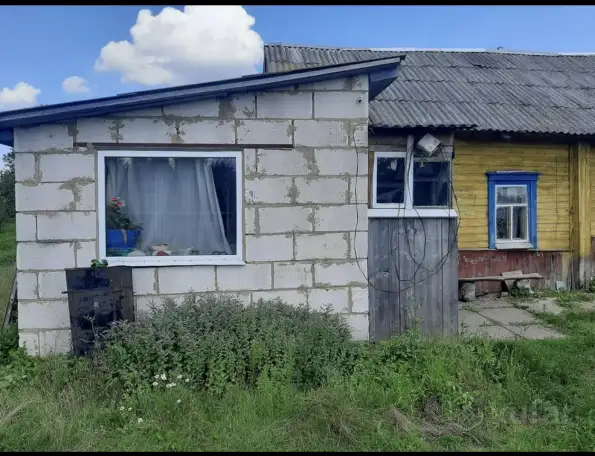 Дом, район, Могилёвская область, фотография 3