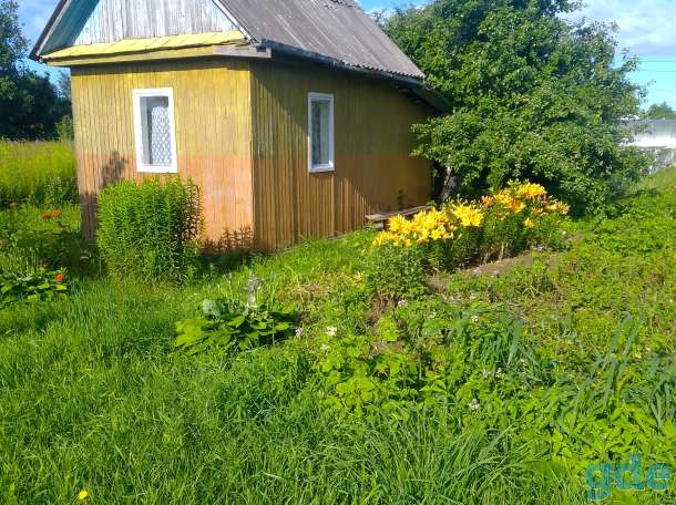 Продажа дача8соток ст росинка от жодино9км, фотография 3