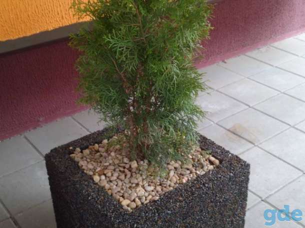 Отделочное покрытие каменный ковер, фотография 8