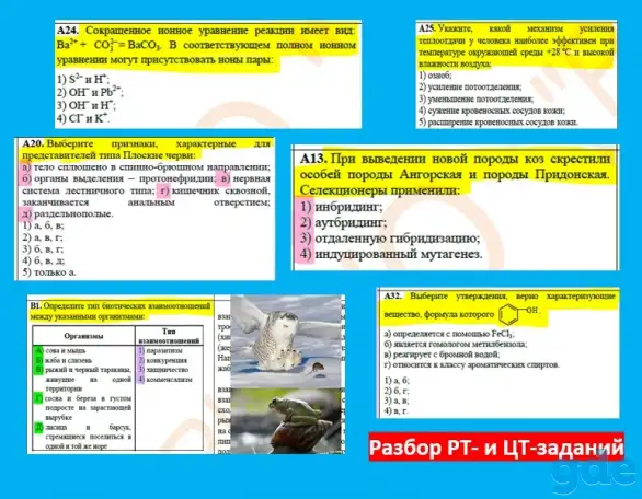Репетитор по биологии и химии ЦТЦЭ, фотография 3