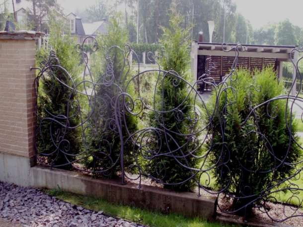 Заборы и ограждения, ковка, фотография 2