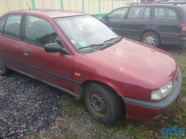 Нисан примера Nissan Primera, фотография 3