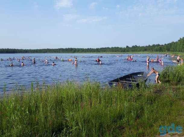 Продам участок, ст. Остров, фотография 7