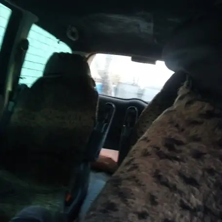 Продам. Volkswagen Sharan, фотография 8