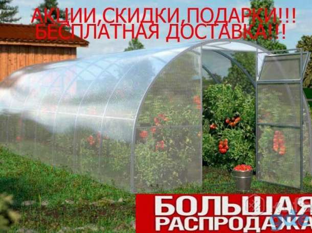 Теплица Престиж, фотография 1