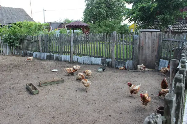 Продается дом в деревне с участком, Малоритский рвйон, д. Пажежин, фотография 4