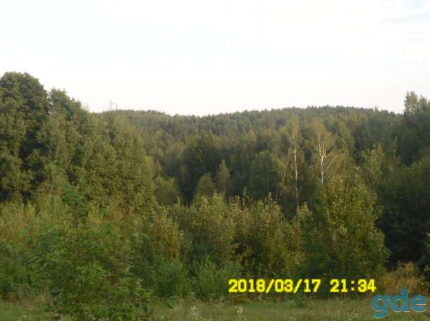 продаю дом, минская обл;молодеченский р-н;д Выдричи д.3, фотография 5