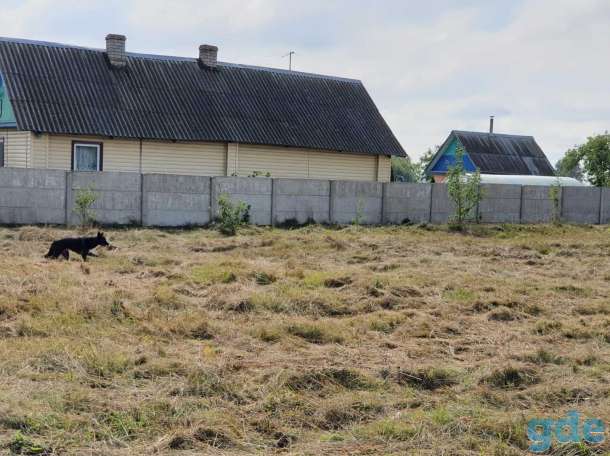 Продам, фотография 4
