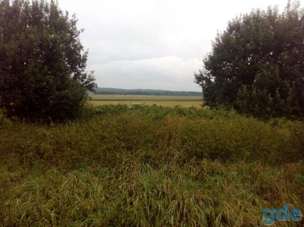 Продам участок, Поплавы, фотография 1
