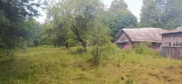 Срочно продаётся дом, Могилёвская область, Быховский район, дер. Новобоярщина, фотография 3