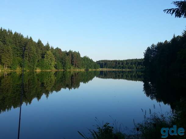 Отдых на берегу лесного озера, фотография 8