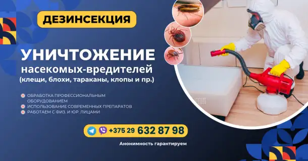 Дезинсекция, фотография 1