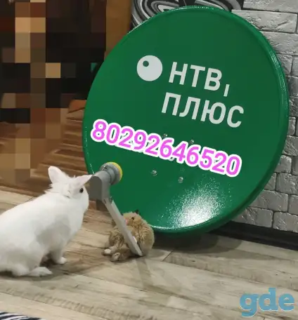 Спутниковое ТВ  Интернет Wi-Fi, фотография 2