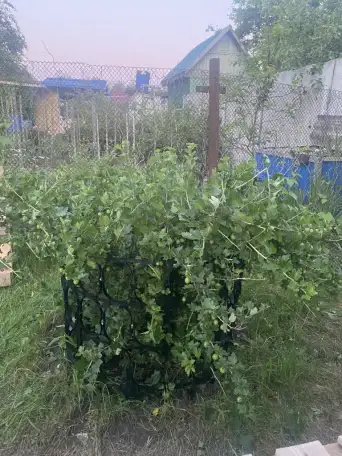 Каркас для куста, фотография 1