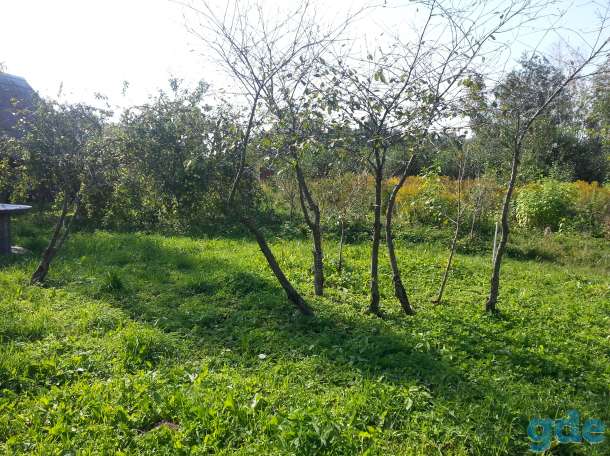 Продам участок 10 соток, 21 км от МКАД., с/т Лесное, фотография 5