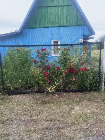 Продам дачу, Мозырский район д. Большие Зимовище, фотография 1