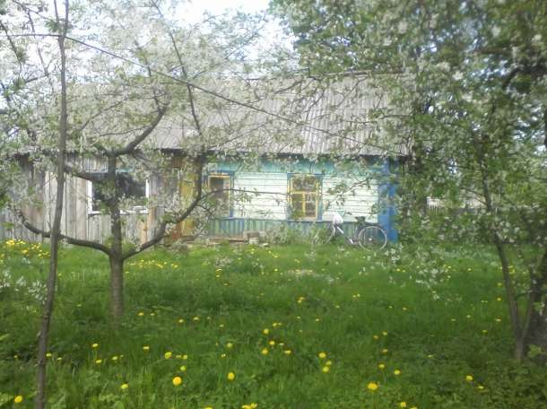 Дом, участок 19 соток,сад.  г.Чериков, Могилевская обл, фотография 3