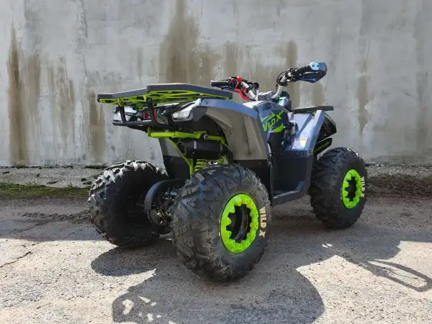 Квадроцикл Motoland Wild X 125cc, фотография 5