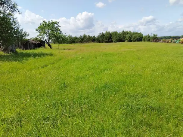 Продается уютный дом с садом у леса и реки в д. Омговичи, фотография 4