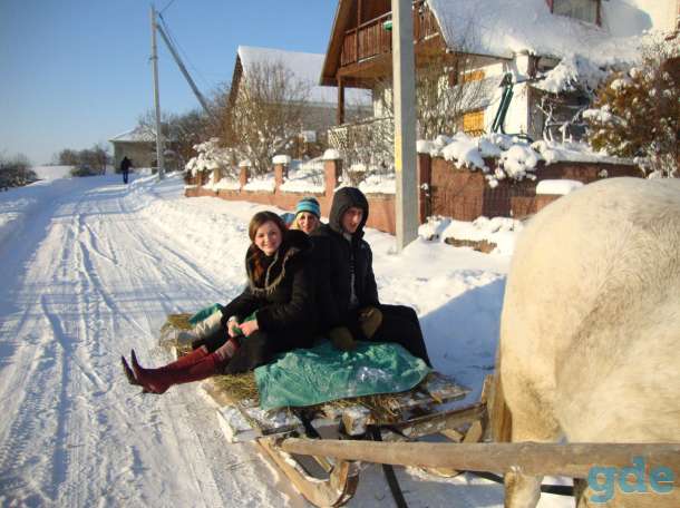 Новогодние праздники на Нарочи, район, деревня Пасынки, фотография 1