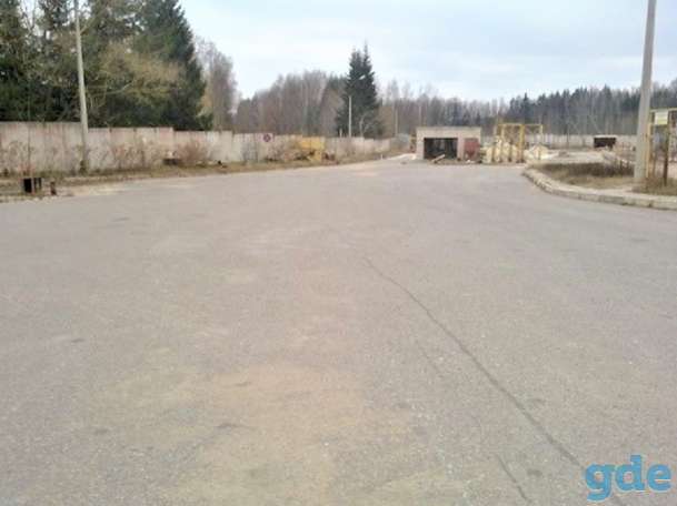 В аренду открытые площадки возле Логойска, от собственника, фотография 1