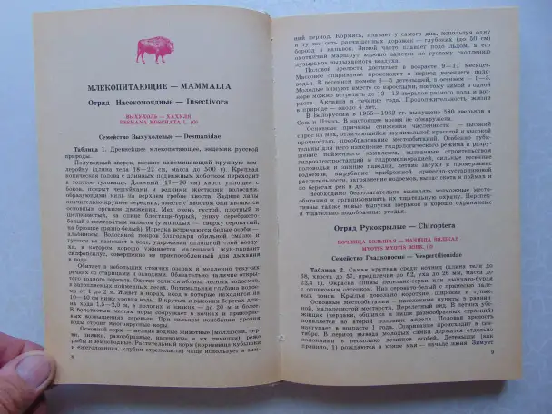 Они не должны исчезнуть. Животные, Растения, Минск, Народная Асвета,1987 год, Дорофеева, Сюборова, фотография 10