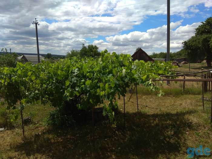 Продам дом с участком, Брестская обл. Барановичский район дер.Подгорная, фотография 3